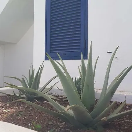 公寓 Apartment Corralejo